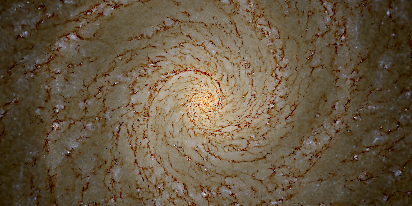 Simulation of a spiral galaxy
